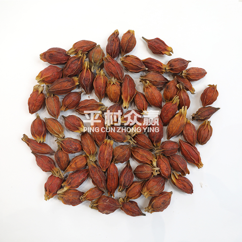 栀子-药食同源-平村众赢(湖北)药业有限公司